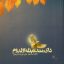 دای من ده بئله اولدوم