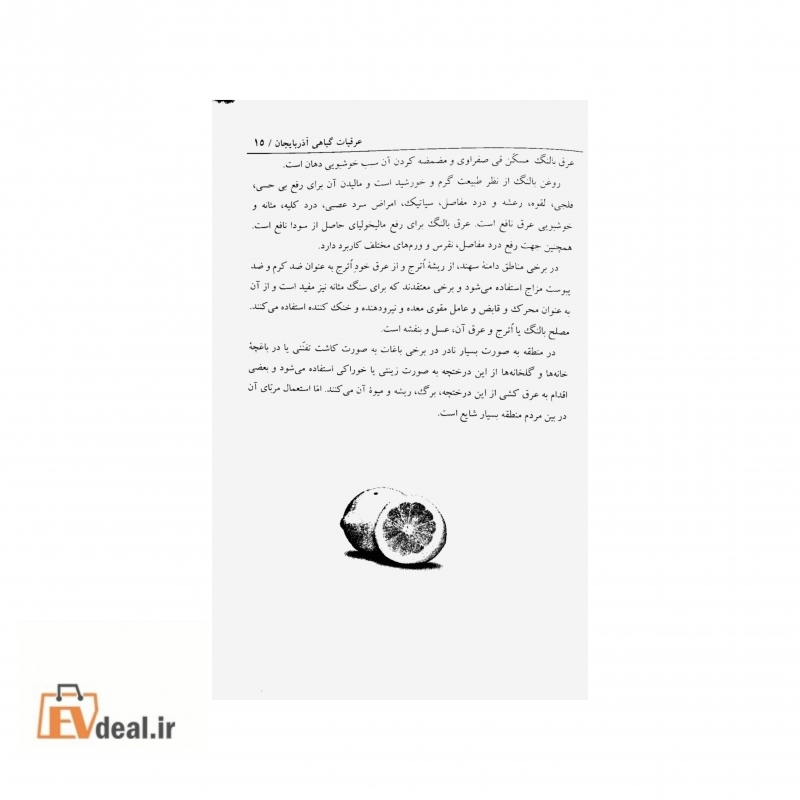 زهرا پورابوطالب