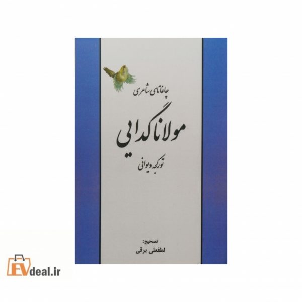 چاغاتای شاعری مولانا گدایی تورکجه دیوانی